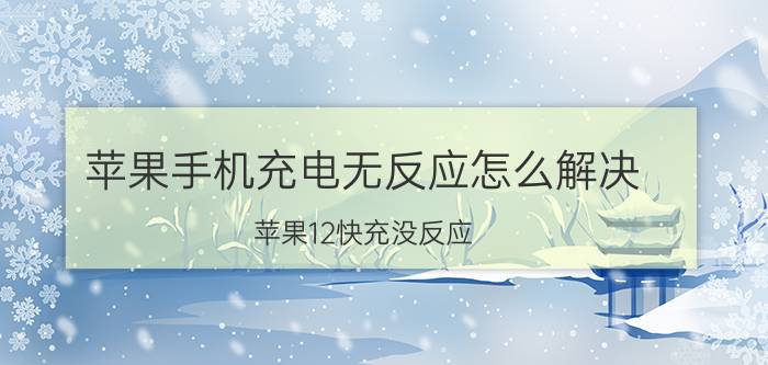 苹果手机充电无反应怎么解决 苹果12快充没反应？